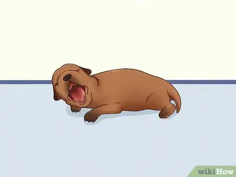 Image titled Care for Newborn Puppies Step 32