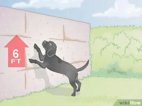 Image titled Dog Proof a Garden Step 1