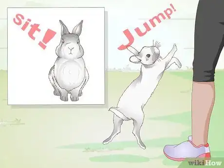 Image titled Exercise Your Rabbit Step 6