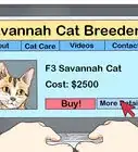 Identify a Savannah Cat