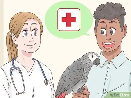 Image titled Choose an African Grey Parrot Step 10