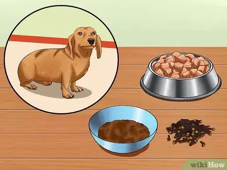 Image titled Treat Dog Worms With Food and Herbs Step 3