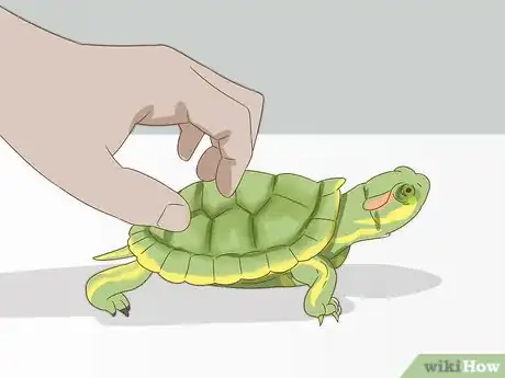 Image titled Care for a Red Eared Slider Turtle Step 19
