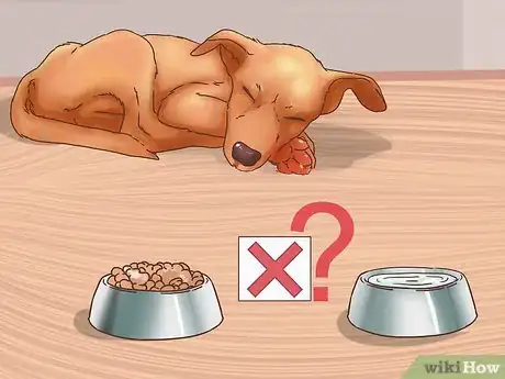 Image titled Determine if You Should Euthanize Your Dog Step 3