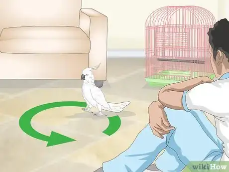 Image titled Bond with a Cockatoo Step 1