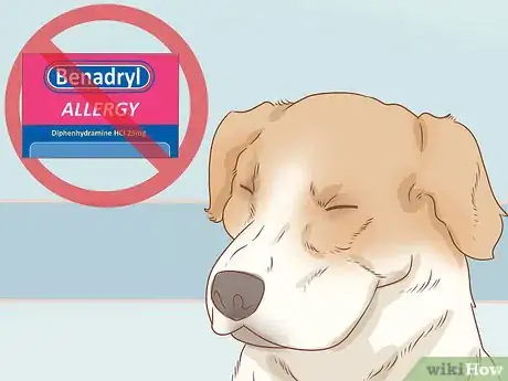 Image titled Determine Benadryl Dosage for Dogs Step 7