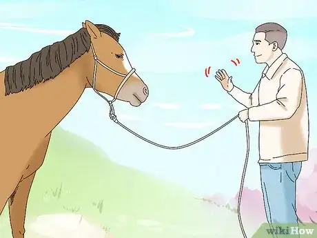 Image titled Teach Your Horse to Back up from the Ground Step 3