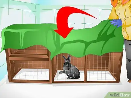 Image titled Keep a Rabbit Warm Step 2