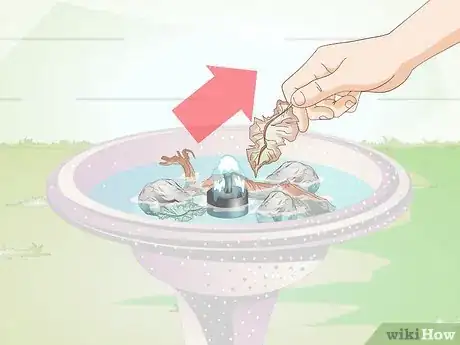 Image titled Prevent Small Worms in Birdbaths Step 5