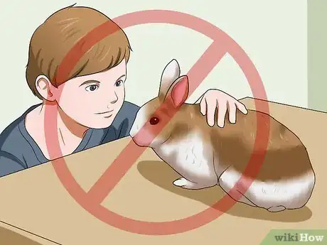 Image titled Make Sure Your Rabbit Has the Best Life You Can Give It Step 1