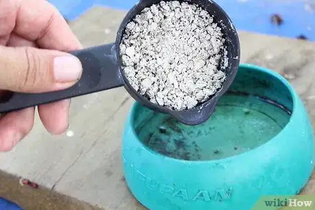 Image titled Prepare Oyster Shells for Chickens Step 6