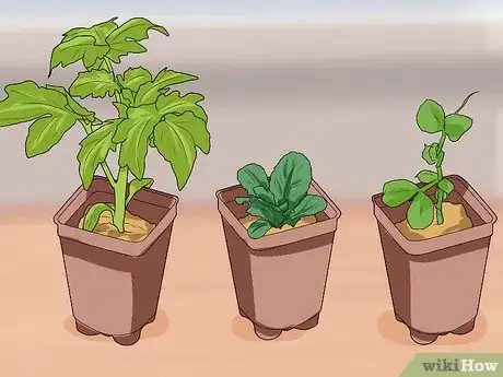 Image titled Improve Your Health by Gardening Step 6