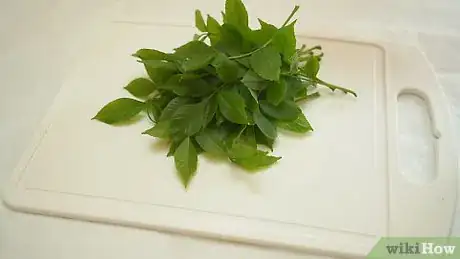 Image titled Make Fresh Neem Leaves Paste Step 1
