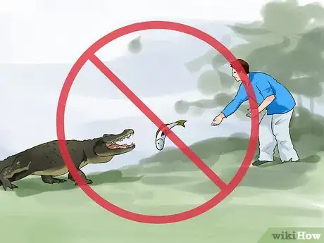 Image titled Avoid an Alligator Attack Step 4