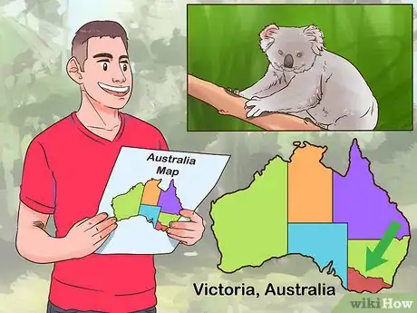 Image titled Spot Koalas Step 1