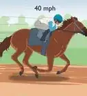 Train a Race Horse