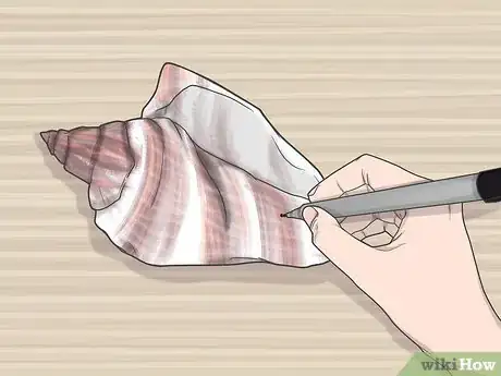 Image titled Drill a Hole in a Seashell (Without a Drill) Step 7