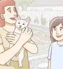 Earn the Trust of a Stray Cat
