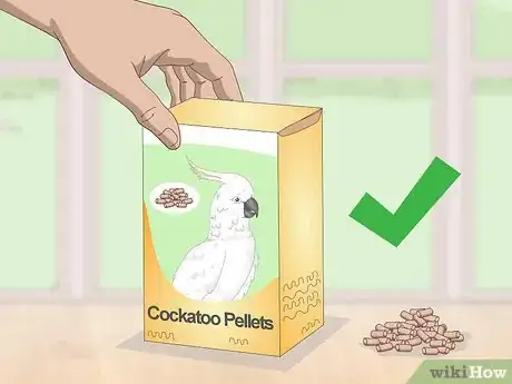 Image titled Feed a Cockatoo Step 1