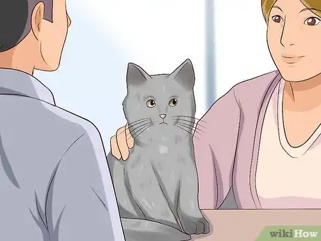 Image titled Get Rid of Ear Mites in a Cat Step 5