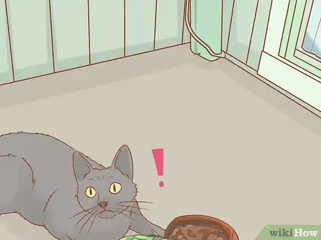 Image titled Train an Outdoor Cat to Use a Litter Box Step 11