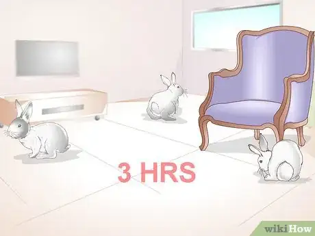 Image titled Exercise Your Rabbit Step 8