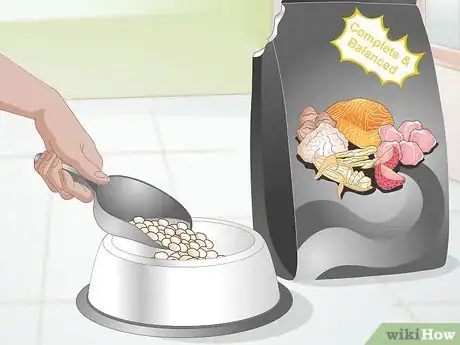 Image titled Create a Feeding Routine for Your Dog Step 11