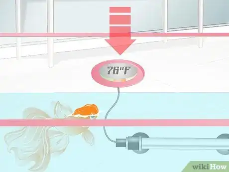 Image titled Cure Goldfish Dropsy Step 14