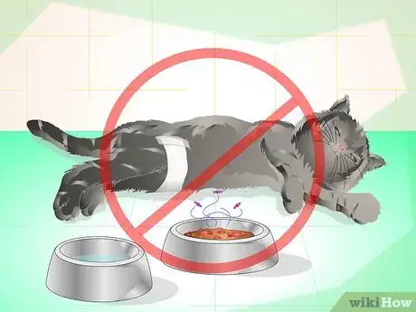 Image titled Get Your Cat Spayed Step 13