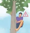 Climb a Tree With No Branches