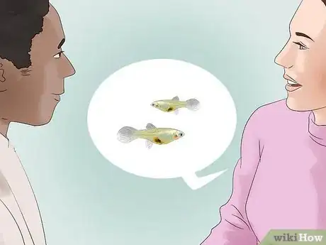 Image titled Tell if Your Fish Is Having Babies Step 10