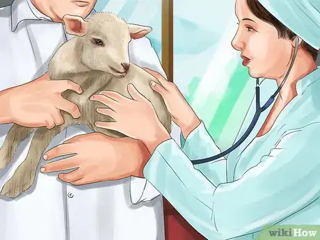 Image titled Bottle Feed a Baby Lamb Step 1