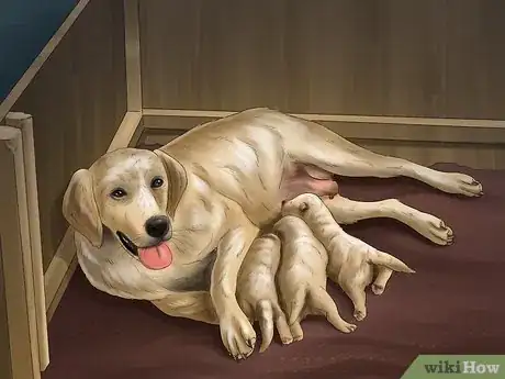 Image titled Help Your Dog After Giving Birth Step 22