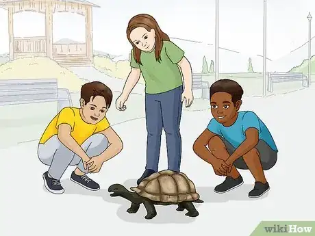 Image titled Handle a Tortoise Step 13