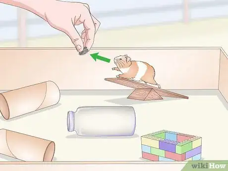 Image titled Teach a Hamster Tricks Step 14