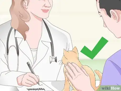 Image titled Treat Your Cat's Dental Problems Step 20