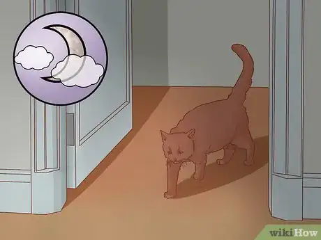 Image titled Encourage Your New Cat to Come Out of Hiding Step 11