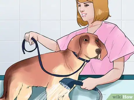 Image titled Give a Stubborn Dog a Bath Step 4