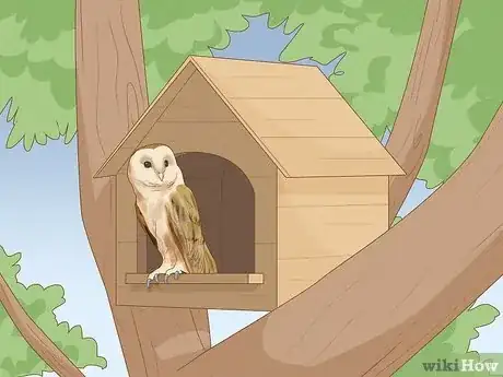 Image titled Attract Barn Owls Step 3