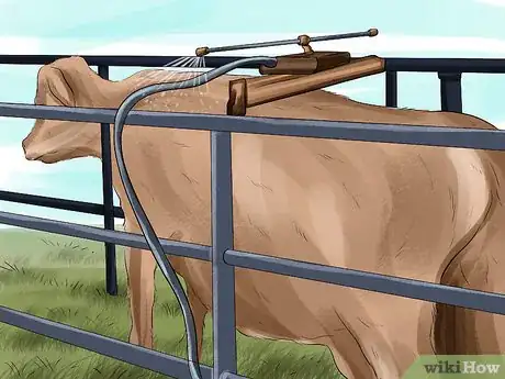Image titled Clean a Cow Step 11