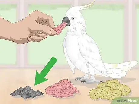 Image titled Feed a Cockatoo Step 3
