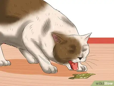 Image titled Prevent Feline Panleukopenia (Distemper) Step 8