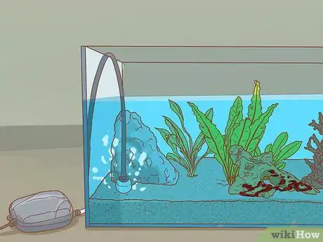 Image titled Decrease Aquarium Algae Naturally Step 2