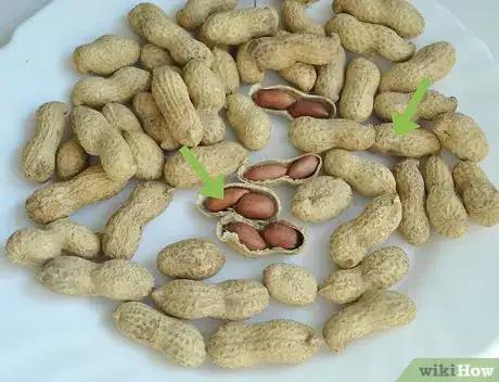 Image titled Dry Peanuts Step 4