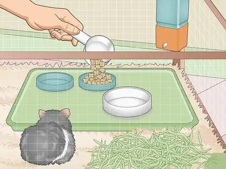 Image titled Properly Care for Your Guinea Pigs Step 12