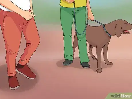 Image titled Help a Dog in Heat Step 10