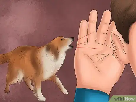 Image titled Identify a Collie Step 8