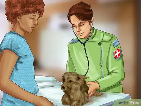Image titled Treat Kidney Stones in Dogs Step 1
