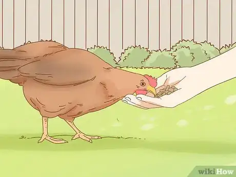 Image titled Hold a Chicken Step 10