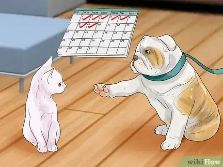 Image titled Make Your Dog Like Your Cat Step 15